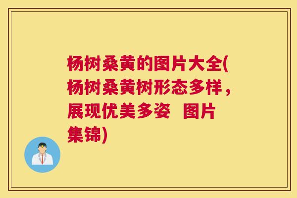 杨树桑黄的图片大全(杨树桑黄树形态多样,展现优美多姿 图片集锦) 杨树桑黄的图片大全(杨树桑黄树形态多样,展现优美多姿 图片集锦)
