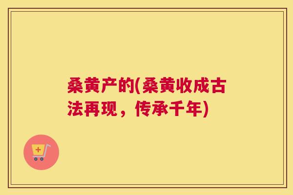 桑黄产的(桑黄收成古法再现,传承千年) 桑黄产的(桑黄收成古法再现,传承千年)