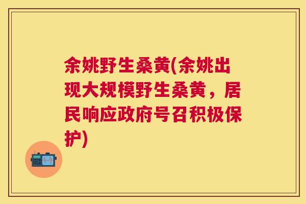 余姚野生桑黄(余姚出现大规模野生桑黄,居民响应政府号召积极保护) 余姚野生桑黄(余姚出现大规模野生桑黄,居民响应政府号召积极保护)