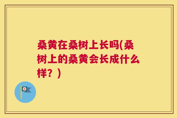 桑黄在桑树上长吗(桑树上的桑黄会长成什么样？)