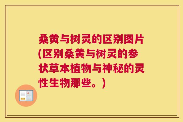 桑黄与树灵的区别图片(区别桑黄与树灵的参状草本植物与神秘的灵性生物那些。) 桑黄与树灵的区别图片(区别桑黄与树灵的参状草本植物与神秘的灵性生物那些。)