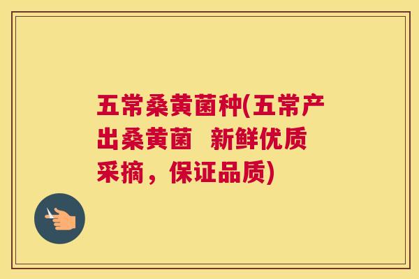 五常桑黄菌种(五常产出桑黄菌 新鲜优质采摘,保证品质) 五常桑黄菌种(五常产出桑黄菌 新鲜优质采摘,保证品质)