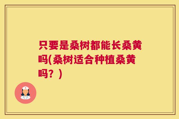 只要是桑树都能长桑黄吗(桑树适合种植桑黄吗?) 只要是桑树都能长桑黄吗(桑树适合种植桑黄吗?)
