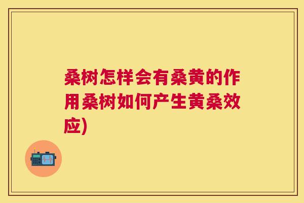 桑树怎样会有桑黄的作用桑树如何产生黄桑效应) 桑树怎样会有桑黄的作用桑树如何产生黄桑效应)