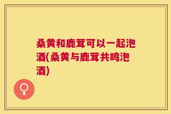 桑黄和鹿茸可以一起泡酒(桑黄与鹿茸共鸣泡酒) 桑黄和鹿茸可以一起泡酒(桑黄与鹿茸共鸣泡酒)