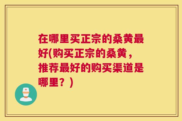 在哪里买正宗的桑黄好(购买正宗的桑黄，推荐好的购买渠道是哪里？)