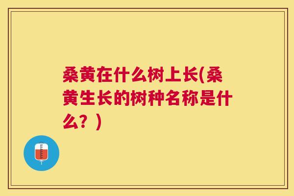 桑黄在什么树上长(桑黄生长的树种名称是什么?) 桑黄在什么树上长(桑黄生长的树种名称是什么?)
