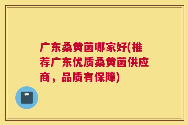 广东桑黄菌哪家好(推荐广东优质桑黄菌供应商,品质有保障) 广东桑黄菌哪家好(推荐广东优质桑黄菌供应商,品质有保障)