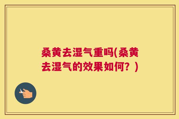 桑黄去湿气重吗(桑黄去湿气的效果如何?) 桑黄去湿气重吗(桑黄去湿气的效果如何?)