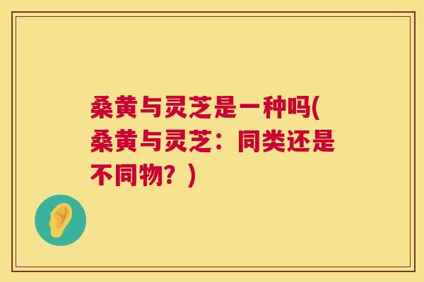桑黄与灵芝是一种吗(桑黄与灵芝:同类还是不同物?) 桑黄与灵芝是一种吗(桑黄与灵芝:同类还是不同物?)