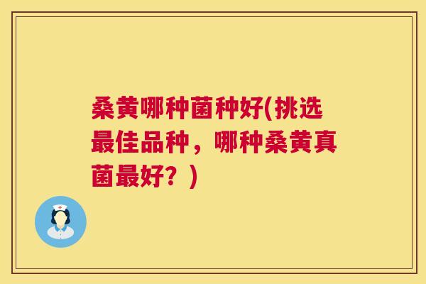 桑黄哪种菌种好(挑选佳品种,哪种桑黄真菌好?) 桑黄哪种菌种好(挑选佳品种,哪种桑黄真菌好?)