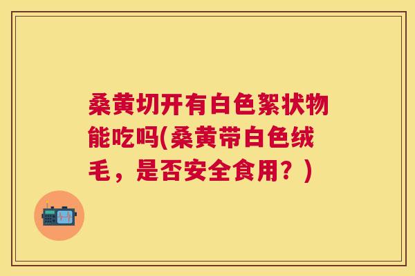 桑黄切开有白色絮状物能吃吗(桑黄带白色绒毛,是否安全食用?) 桑黄切开有白色絮状物能吃吗(桑黄带白色绒毛,是否安全食用?)