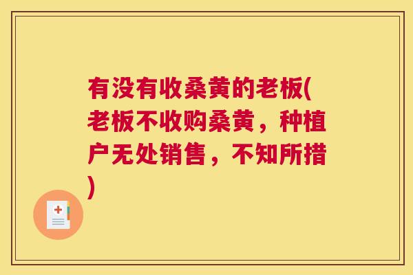 有没有收桑黄的老板(老板不收购桑黄,种植户无处销售,不知所措) 有没有收桑黄的老板(老板不收购桑黄,种植户无处销售,不知所措)