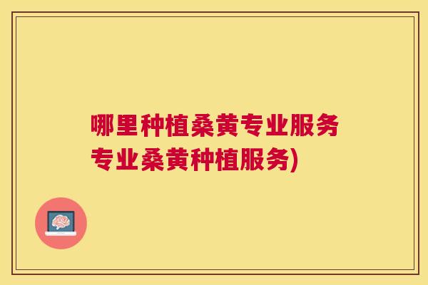 哪里种植桑黄专业服务专业桑黄种植服务) 哪里种植桑黄专业服务专业桑黄种植服务)