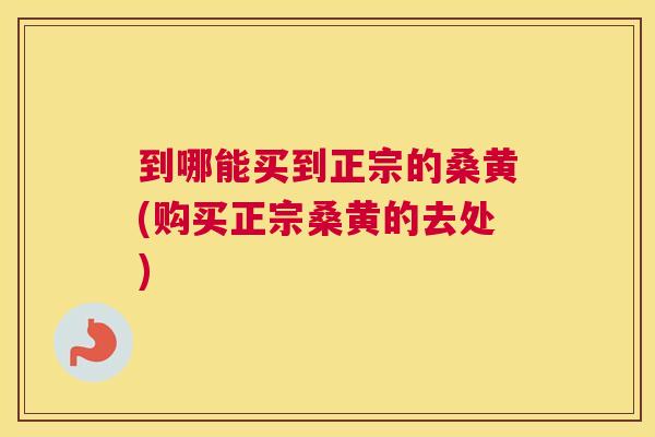 到哪能买到正宗的桑黄(购买正宗桑黄的去处) 到哪能买到正宗的桑黄(购买正宗桑黄的去处)