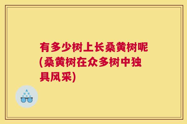 有多少树上长桑黄树呢(桑黄树在众多树中独具风采) 有多少树上长桑黄树呢(桑黄树在众多树中独具风采)
