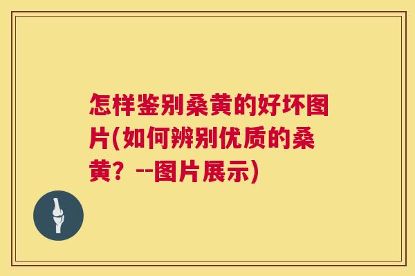怎样鉴别桑黄的好坏图片(如何辨别优质的桑黄？--图片展示)