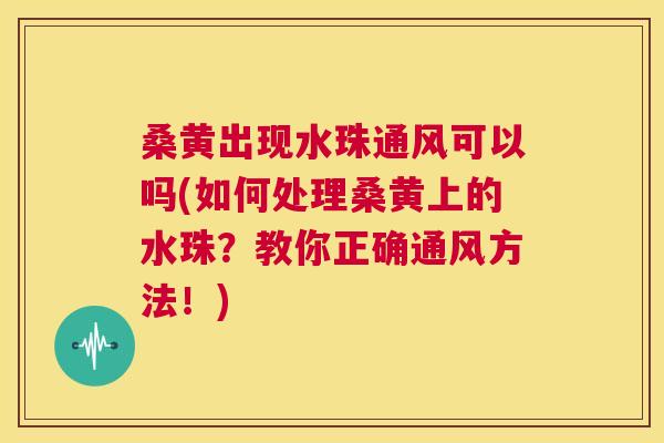 桑黄出现水珠通风可以吗(如何处理桑黄上的水珠？教你正确通风方法！)