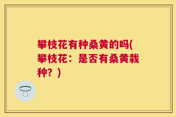 攀枝花有种桑黄的吗(攀枝花:是否有桑黄栽种?) 攀枝花有种桑黄的吗(攀枝花:是否有桑黄栽种?)