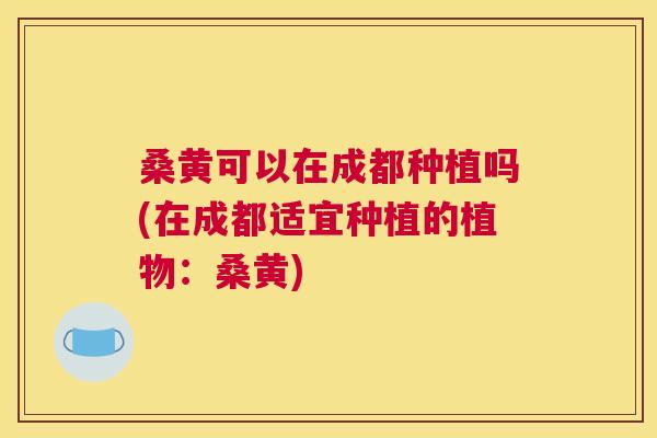 桑黄可以在成都种植吗(在成都适宜种植的植物:桑黄) 桑黄可以在成都种植吗(在成都适宜种植的植物:桑黄)