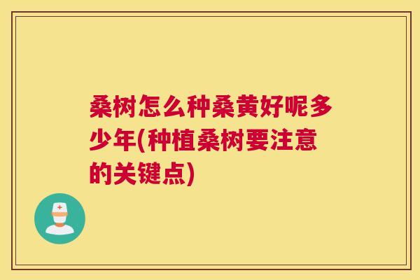 桑树怎么种桑黄好呢多少年(种植桑树要注意的关键点) 桑树怎么种桑黄好呢多少年(种植桑树要注意的关键点)