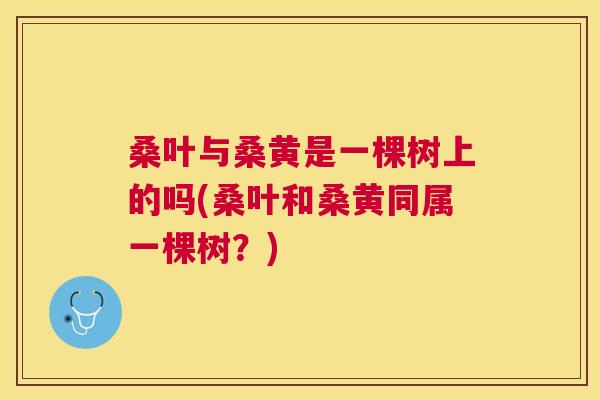 桑叶与桑黄是一棵树上的吗(桑叶和桑黄同属一棵树?) 桑叶与桑黄是一棵树上的吗(桑叶和桑黄同属一棵树?)