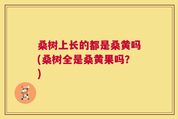 桑树上长的都是桑黄吗(桑树全是桑黄果吗?) 桑树上长的都是桑黄吗(桑树全是桑黄果吗?)