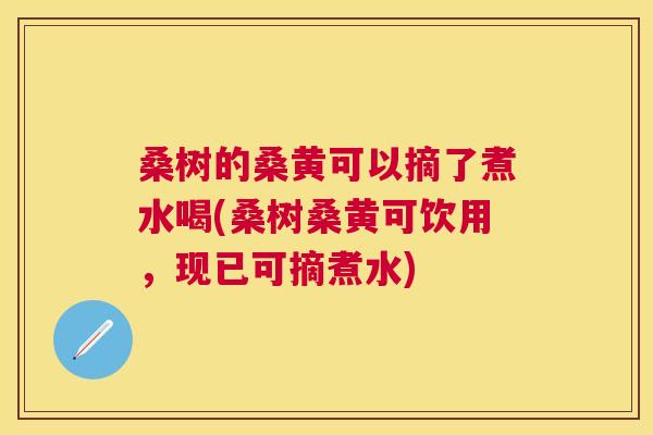 桑树的桑黄可以摘了煮水喝(桑树桑黄可饮用,现已可摘煮水) 桑树的桑黄可以摘了煮水喝(桑树桑黄可饮用,现已可摘煮水)