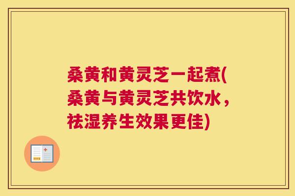 桑黄和黄灵芝一起煮(桑黄与黄灵芝共饮水,祛湿养生效果更佳) 桑黄和黄灵芝一起煮(桑黄与黄灵芝共饮水,祛湿养生效果更佳)