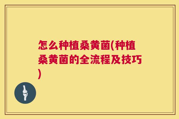 怎么种植桑黄菌(种植桑黄菌的全流程及技巧) 怎么种植桑黄菌(种植桑黄菌的全流程及技巧)