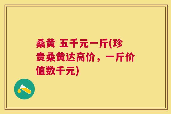 桑黄 五千元一斤(珍贵桑黄达高价,一斤价值数千元) 桑黄 五千元一斤(珍贵桑黄达高价,一斤价值数千元)