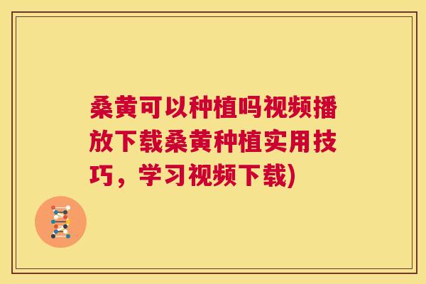 桑黄可以种植吗视频播放下载桑黄种植实用技巧，学习视频下载)