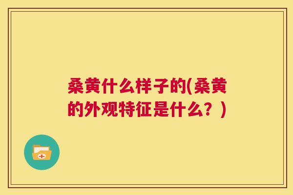 桑黄什么样子的(桑黄的外观特征是什么?) 桑黄什么样子的(桑黄的外观特征是什么?)
