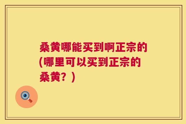 桑黄哪能买到啊正宗的(哪里可以买到正宗的桑黄?) 桑黄哪能买到啊正宗的(哪里可以买到正宗的桑黄?)