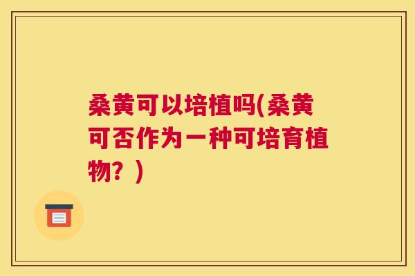 桑黄可以培植吗(桑黄可否作为一种可培育植物?) 桑黄可以培植吗(桑黄可否作为一种可培育植物?)