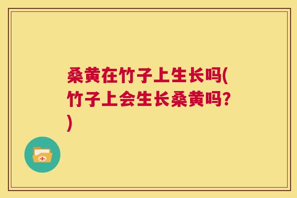 桑黄在竹子上生长吗(竹子上会生长桑黄吗?) 桑黄在竹子上生长吗(竹子上会生长桑黄吗?)