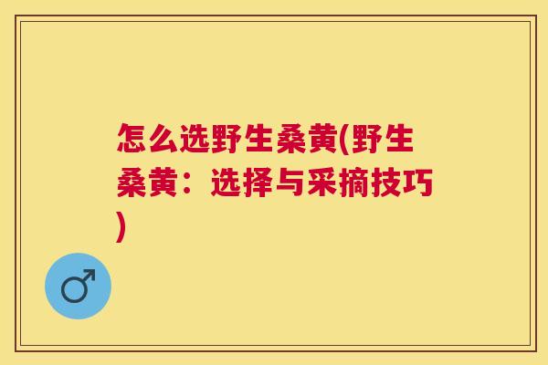 怎么选野生桑黄(野生桑黄:选择与采摘技巧) 怎么选野生桑黄(野生桑黄:选择与采摘技巧)
