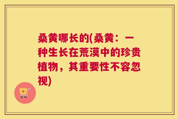 桑黄哪长的(桑黄:一种生长在荒漠中的珍贵植物,其重要性不容忽视) 桑黄哪长的(桑黄:一种生长在荒漠中的珍贵植物,其重要性不容忽视)