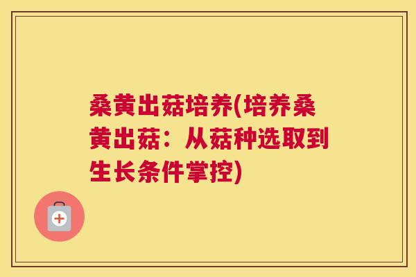桑黄出菇培养(培养桑黄出菇:从菇种选取到生长条件掌控) 桑黄出菇培养(培养桑黄出菇:从菇种选取到生长条件掌控)