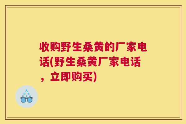 收购野生桑黄的厂家电话(野生桑黄厂家电话,立即购买) 收购野生桑黄的厂家电话(野生桑黄厂家电话,立即购买)