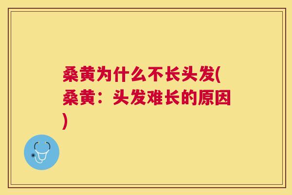 桑黄为什么不长头发(桑黄:头发难长的原因) 桑黄为什么不长头发(桑黄:头发难长的原因)