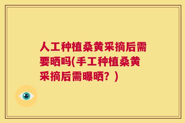 人工种植桑黄采摘后需要晒吗(手工种植桑黄采摘后需曝晒?) 人工种植桑黄采摘后需要晒吗(手工种植桑黄采摘后需曝晒?)