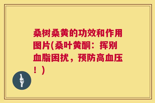 桑树桑黄的功效和作用图片(桑叶黄酮:挥别困扰,高!) 桑树桑黄的功效和作用图片(桑叶黄酮:挥别困扰,高!)