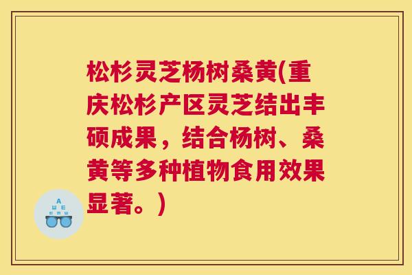 松杉灵芝杨树桑黄(重庆松杉产区灵芝结出丰硕成果,结合杨树、桑黄等多种植物食用效果显著。) 松杉灵芝杨树桑黄(重庆松杉产区灵芝结出丰硕成果,结合杨树、桑黄等多种植物食用效果显著。)