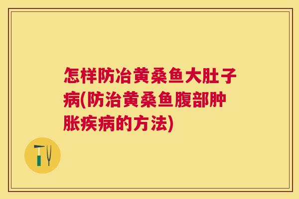 怎样防冶黄桑鱼大肚子(防黄桑鱼腹部的方法) 怎样防冶黄桑鱼大肚子(防黄桑鱼腹部的方法)