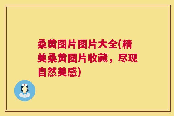 桑黄图片图片大全(精美桑黄图片收藏,尽现自然美感) 桑黄图片图片大全(精美桑黄图片收藏,尽现自然美感)