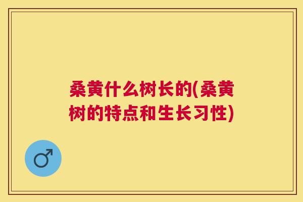 桑黄什么树长的(桑黄树的特点和生长习性) 桑黄什么树长的(桑黄树的特点和生长习性)