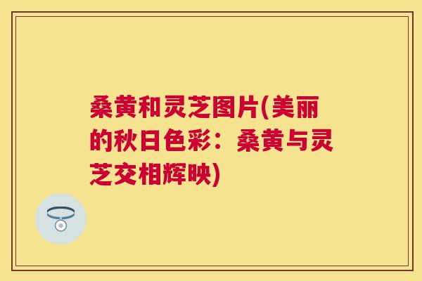 桑黄和灵芝图片(美丽的秋日色彩:桑黄与灵芝交相辉映) 桑黄和灵芝图片(美丽的秋日色彩:桑黄与灵芝交相辉映)
