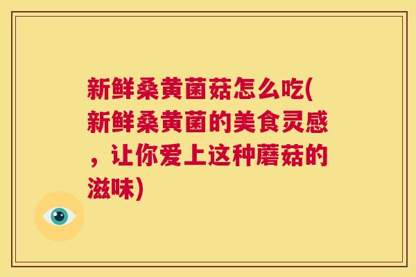 新鲜桑黄菌菇怎么吃(新鲜桑黄菌的美食灵感,让你爱上这种蘑菇的滋味) 新鲜桑黄菌菇怎么吃(新鲜桑黄菌的美食灵感,让你爱上这种蘑菇的滋味)