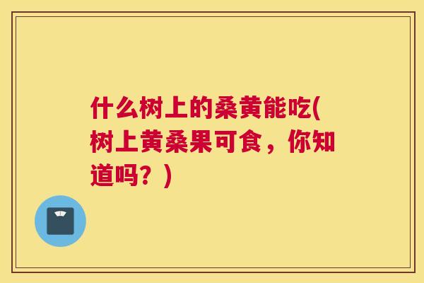 什么树上的桑黄能吃(树上黄桑果可食,你知道吗?) 什么树上的桑黄能吃(树上黄桑果可食,你知道吗?)